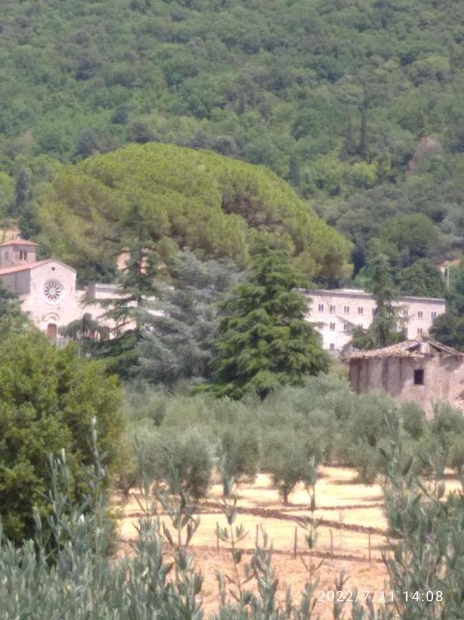 Apartment L'oasi Di Alice Sermoneta