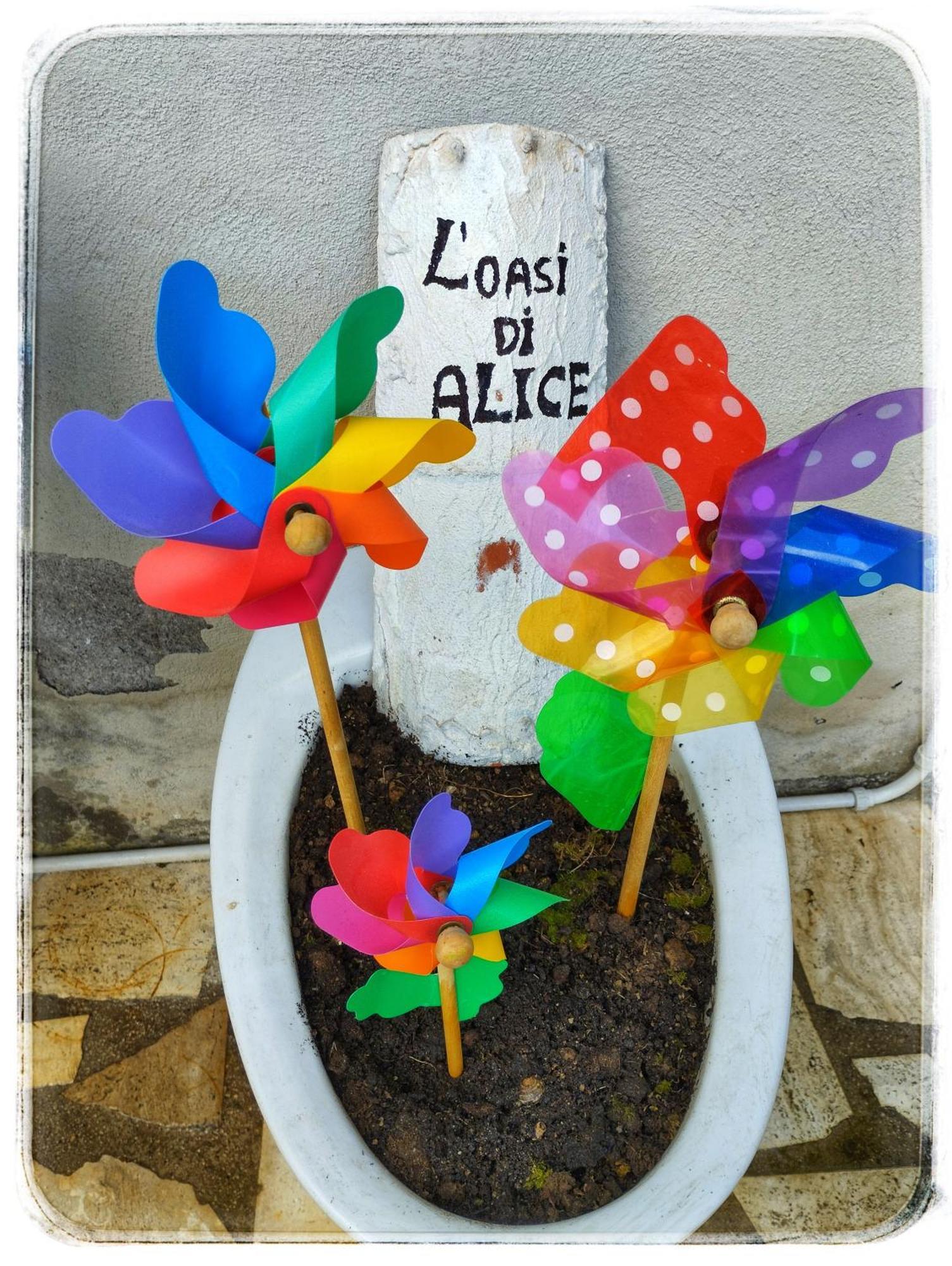L'oasi Di Alice