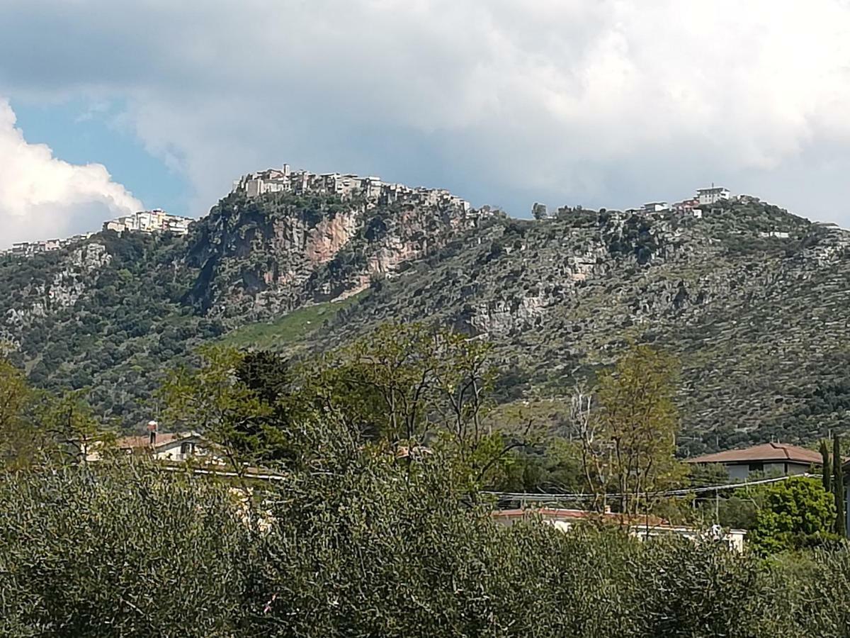 L'oasi Di Alice Apartment Sermoneta
